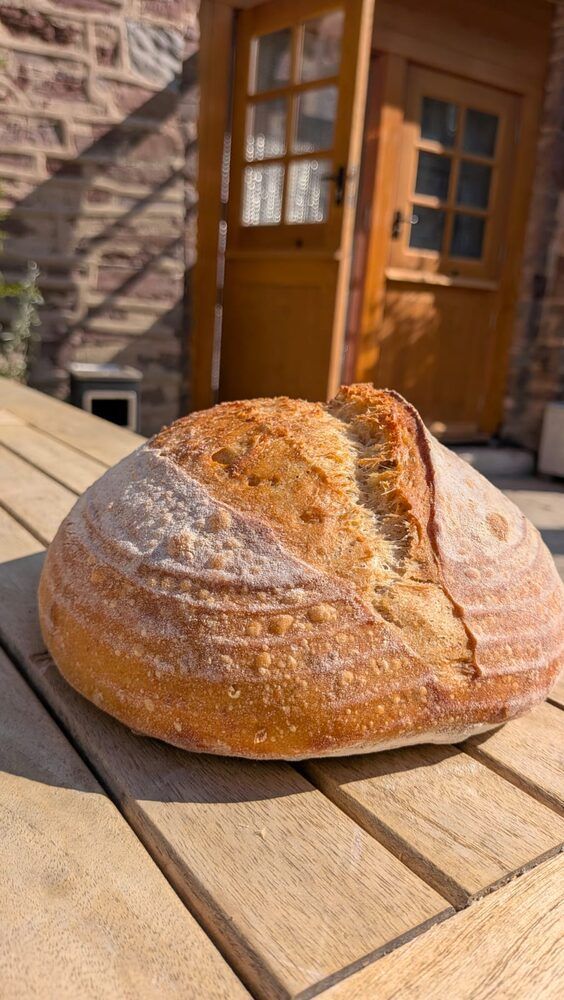 Cob loaf — The Globe Bakery, Laugharne