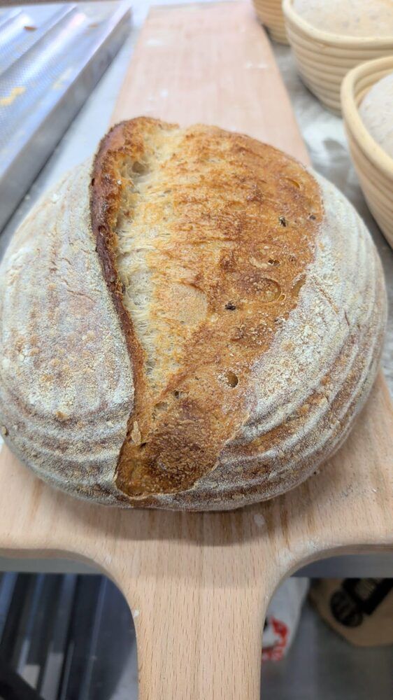 Seeded wholemeal — The Globe Bakery, Laugharne